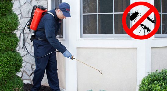 Çukurova Kemirgen İlaçlama böcek ilaçlama ve haşere kontrolü — ilaclama-tr.com